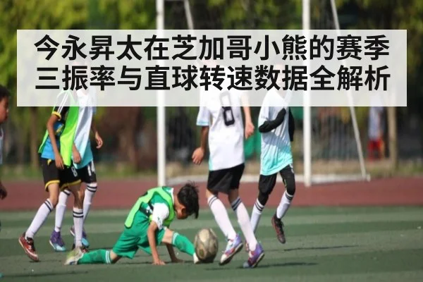 今永昇太在芝加哥小熊的赛季三振率与直球转速数据全解析